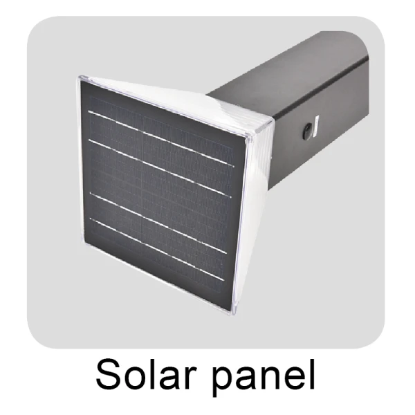 Best Solar Landscape Lights