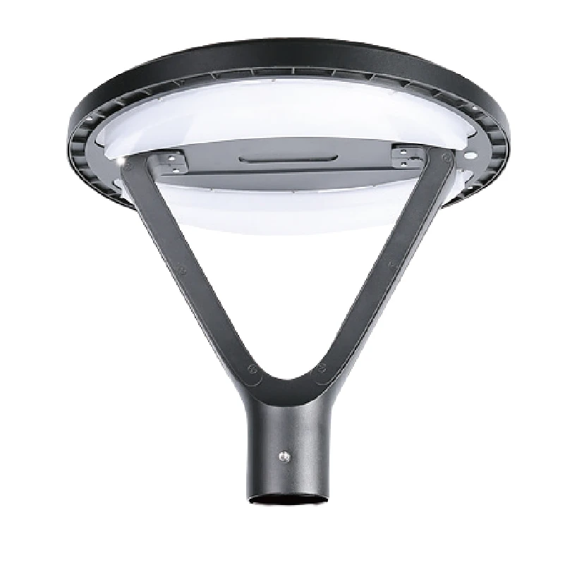 DLG-S-004